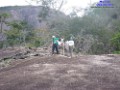 passeio-ecologico-semente-05e06_05_12-395